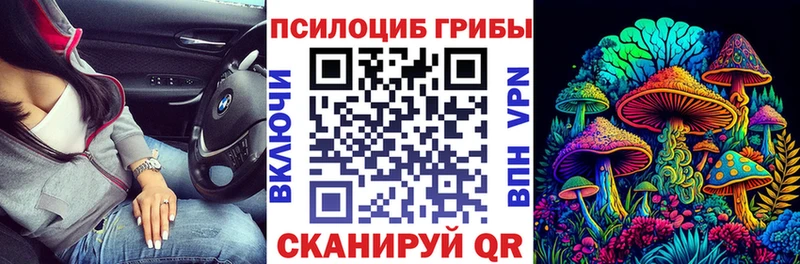 наркошоп  Малаховка  Псилоцибиновые грибы Cubensis 